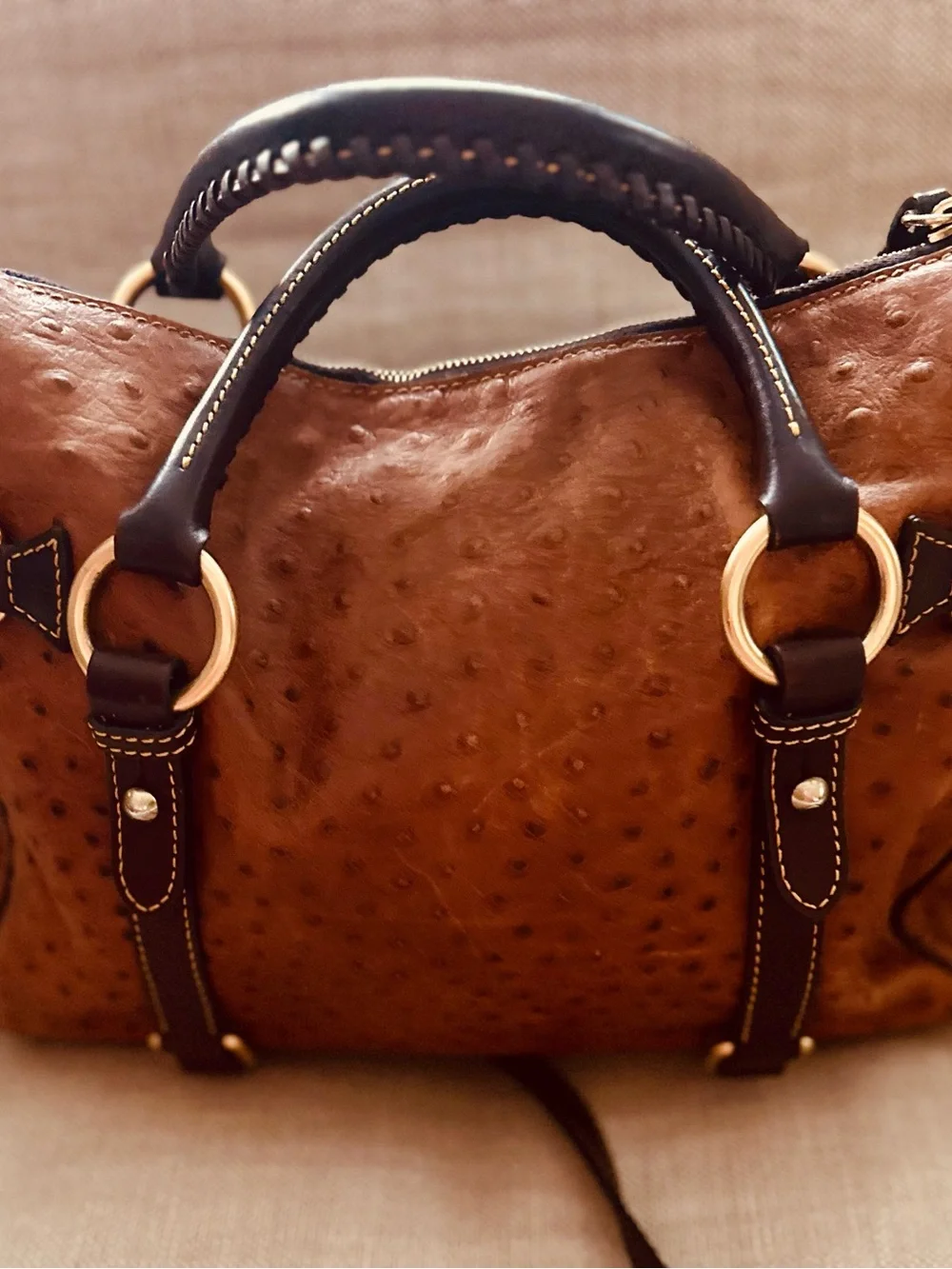 Dooney & Bourke dooney bourke
